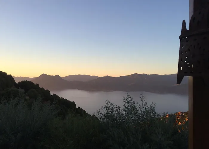 Panzió Casa Mimosa *