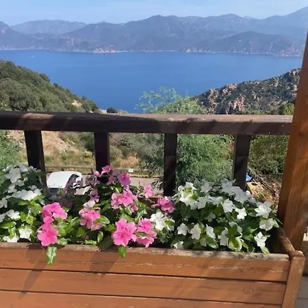 Casa Mimosa Bed & Breakfast