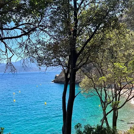 Couette-café Casa Mimosa Piana (Corsica)