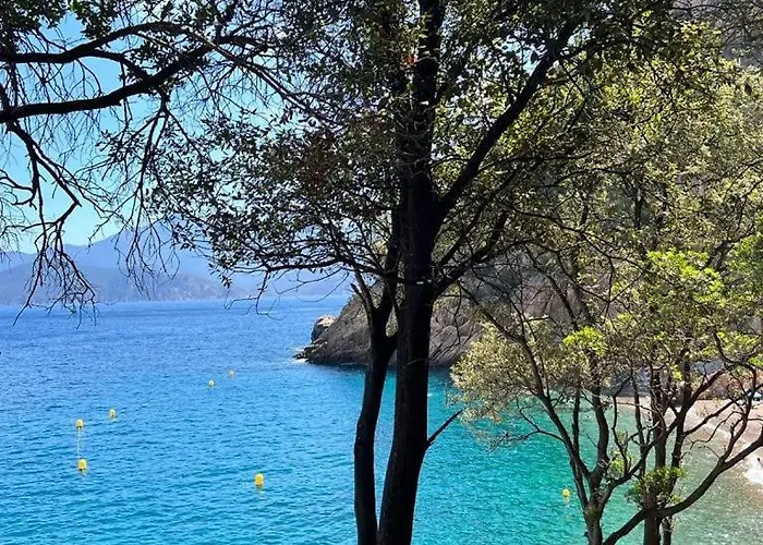 Couette-café Casa Mimosa Piana (Corsica)